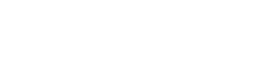 Pelle Pelle Store