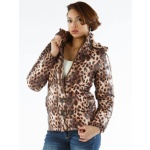 Pelle Pelle Brown Love Moschino Women Jacket